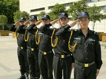 特种安保服务